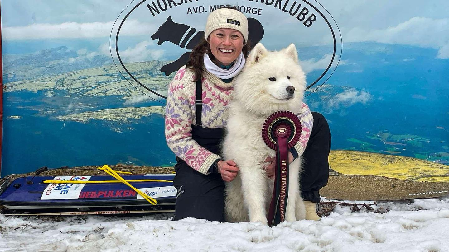 samojed
vintersamling
Mokk