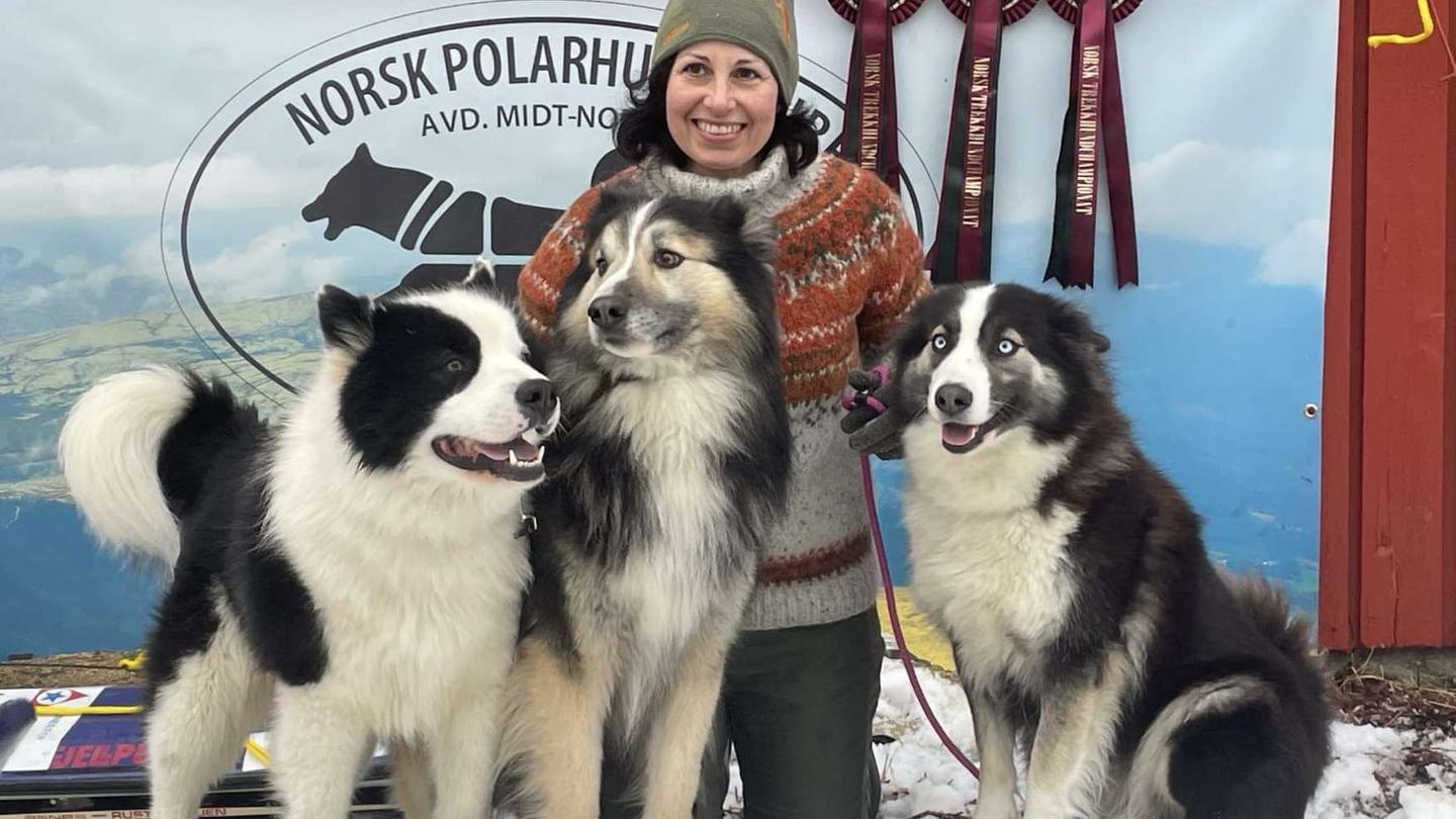 Yakutian laika
NTCH
Vintersamling
Mokk
