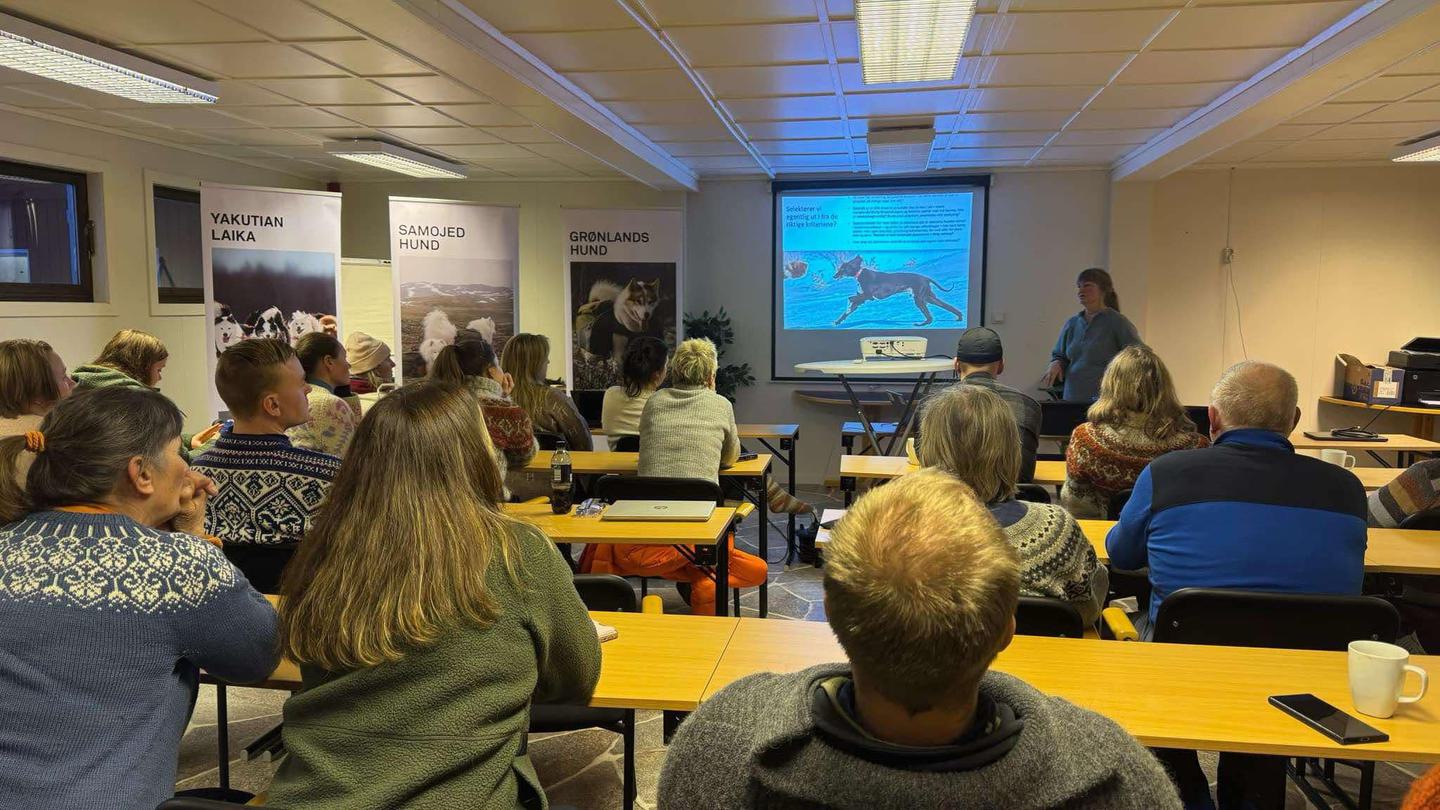 Mokk
vintersamling
fjøset
foredrag