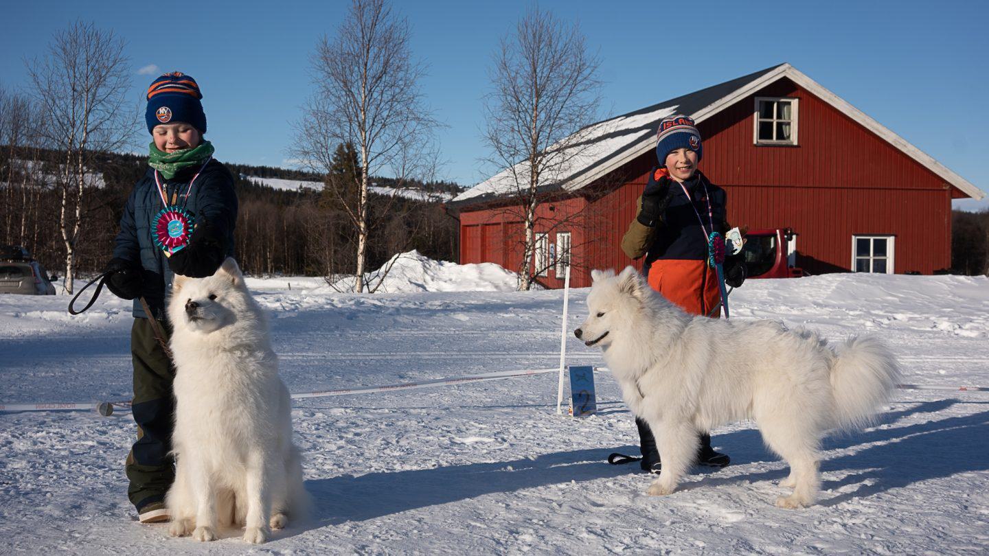 Samojedsamling barn og hund
